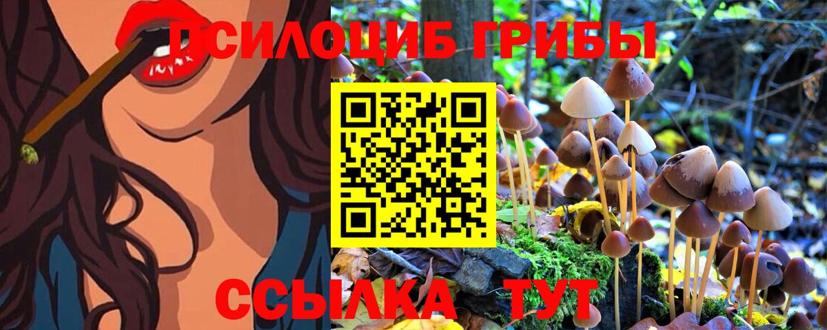 Галлюциногенные грибы Psilocybine cubensis Кстово